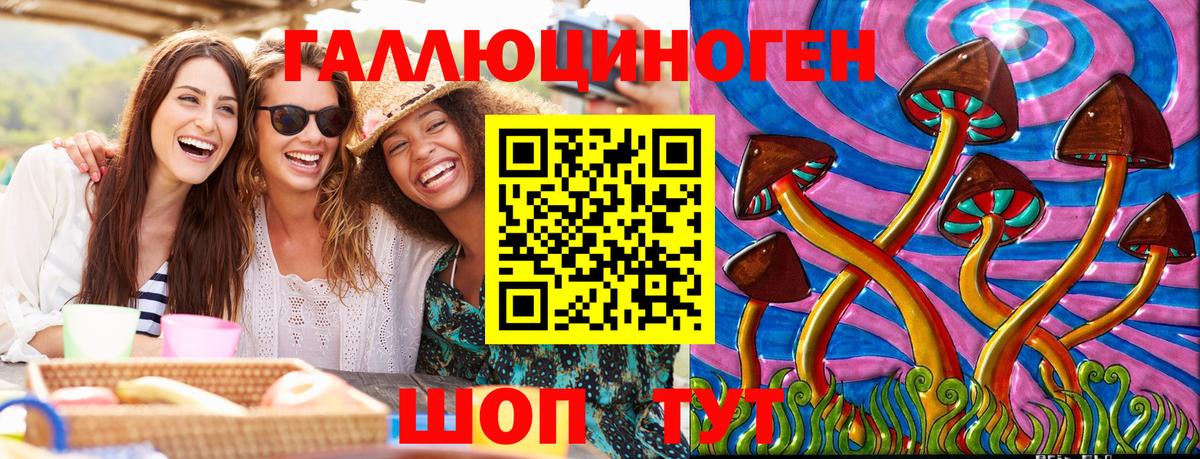 Галлюциногенные грибы прущие грибы Гатчина
