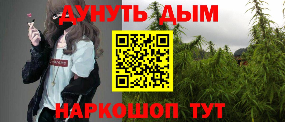 Конопля индика Гатчина