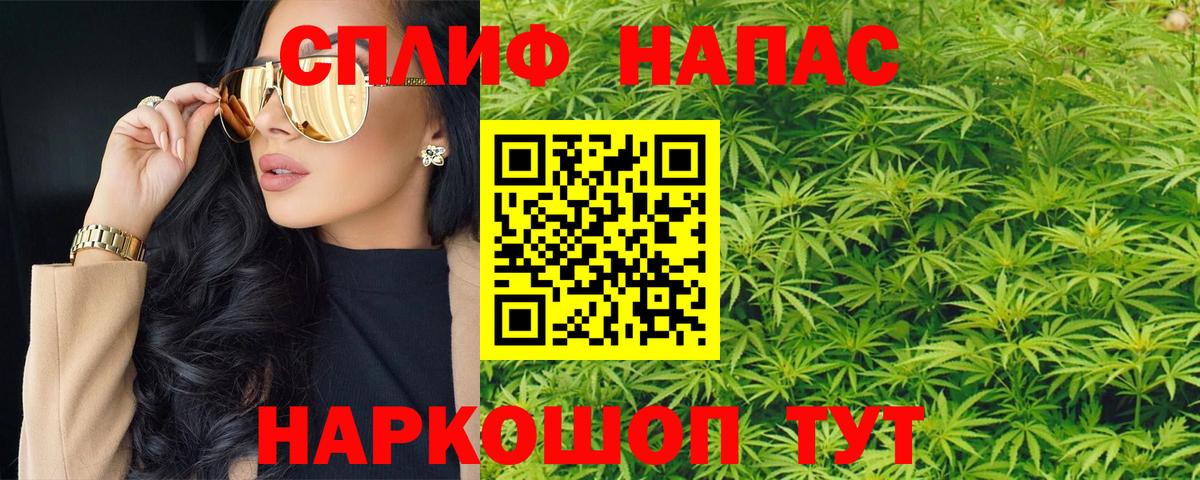 Гатчина  Шишки марихуана план  Вход с VPN  Бошки марихуана план 